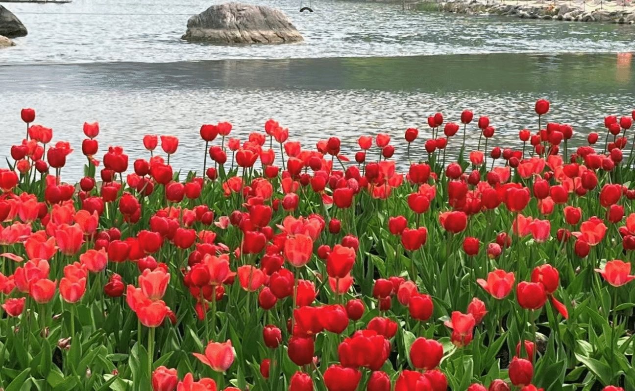 例如但季节交替时