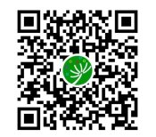 6月21日（星期五）下午16